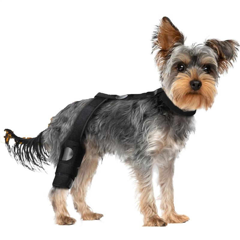 Knee Sleeve Pair - 犬膝ブレース後肢サポートブレースノンスリップペット膝スリーブ調節可能なストラップ付きソフトプロテクター可動性固定用