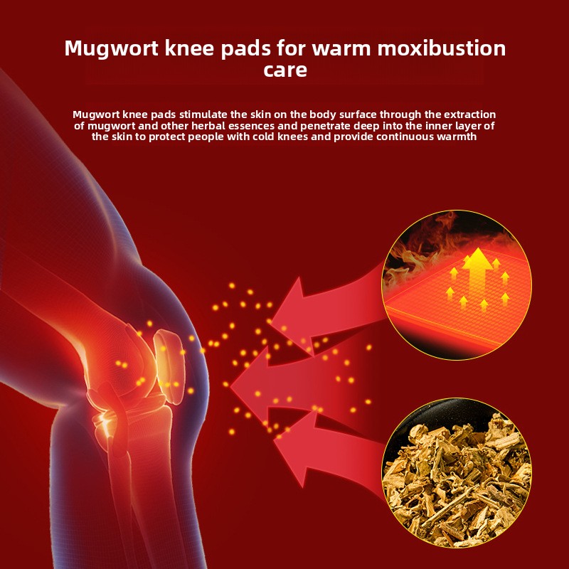 よもぎ薄型目に見えない膝パッド、男女兼用温熱膝スリーブ、高齢 - Knee Sleeve Pair のレビューと価格