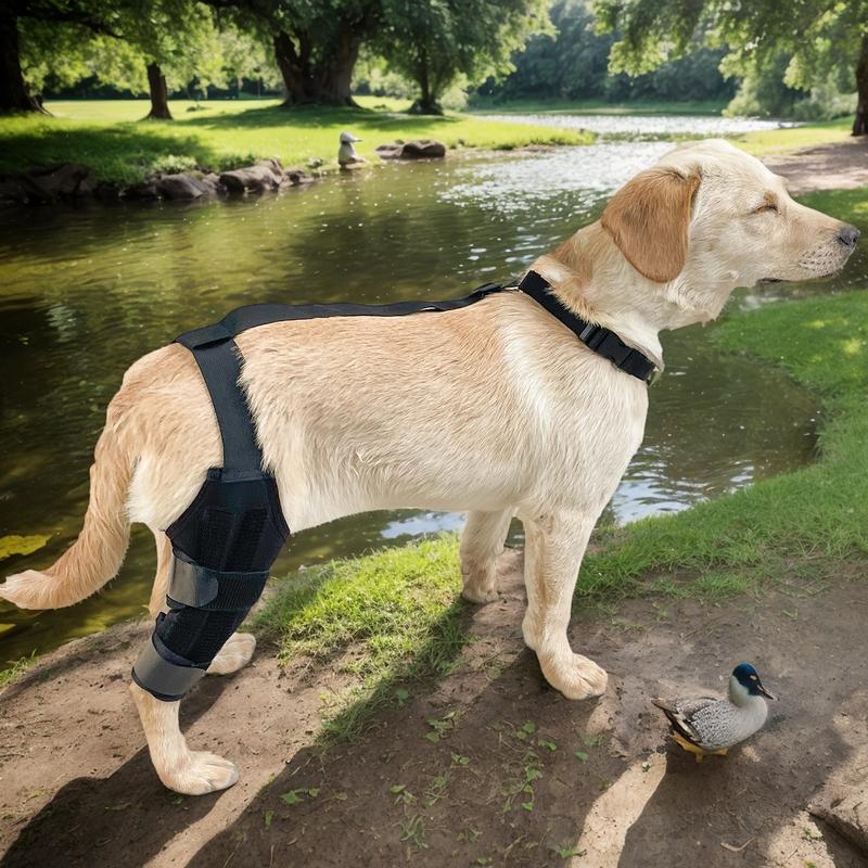 犬膝ブレース後肢サポートブレースノンスリップペット膝スリーブ - Knee Sleeve Pair のレビューと価格